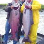 Alaska King Salmon