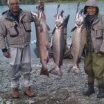 Alaska King Salmon