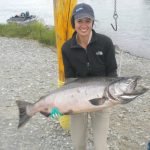 Alaska King Salmon