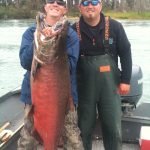 Alaska King Salmon