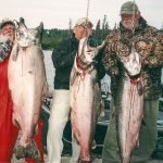 Alaska King Salmon