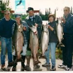 Alaska King Salmon