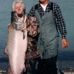 Alaska King Salmon