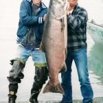 Alaska King Salmon