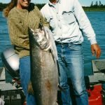 Alaska King Salmon