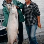 Alaska King Salmon