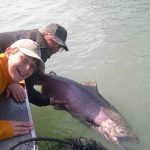 Alaska King Salmon