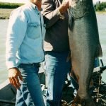 Alaska King Salmon