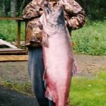 Alaska King Salmon