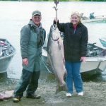 Alaska King Salmon