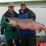 Alaska King Salmon