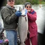 Alaska King Salmon