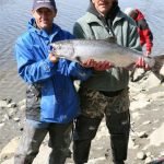 Alaska Red Salmon