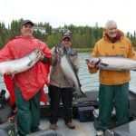 Alaska Red Salmon