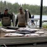 Alaska Red Salmon