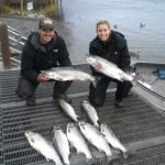 Alaska Silver Salmon