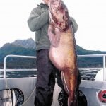 Alaska Lingcod Fishing