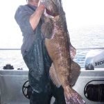 Alaska Lingcod Fishing