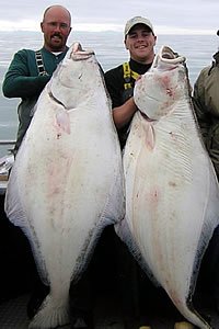 Alaskan Halibut Fishing Packages