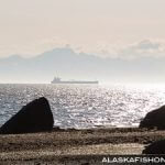 Alaska Mountain View Lodging