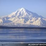 Alaska Mountain View Lodging