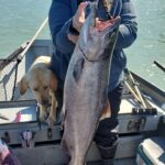 Alaska King Salmon